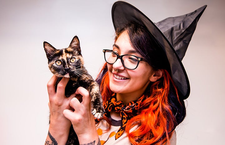Person dressed as a witch holding a tortoiseshell kitten