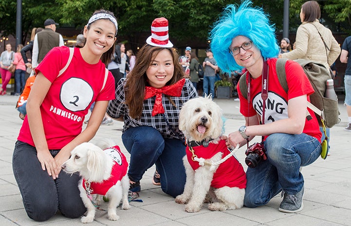 Group of people and dogs dressed up