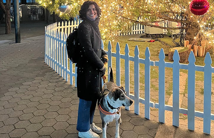 Chrissy the dog out on a walk with a person by a fence and lighted tree