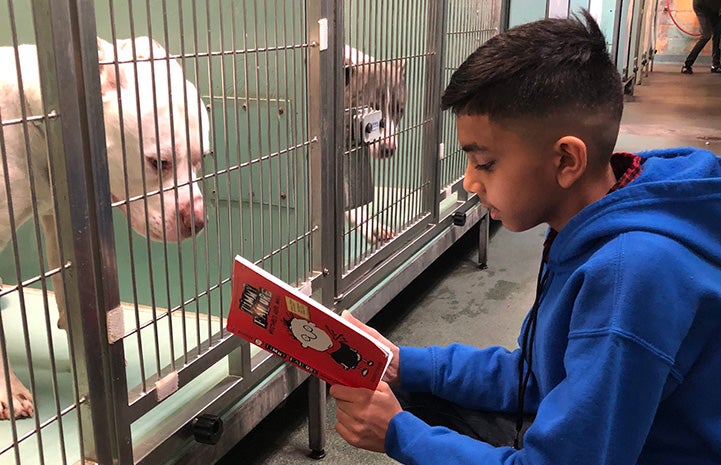 Evan Bisnauth reading to a dog in a kennel