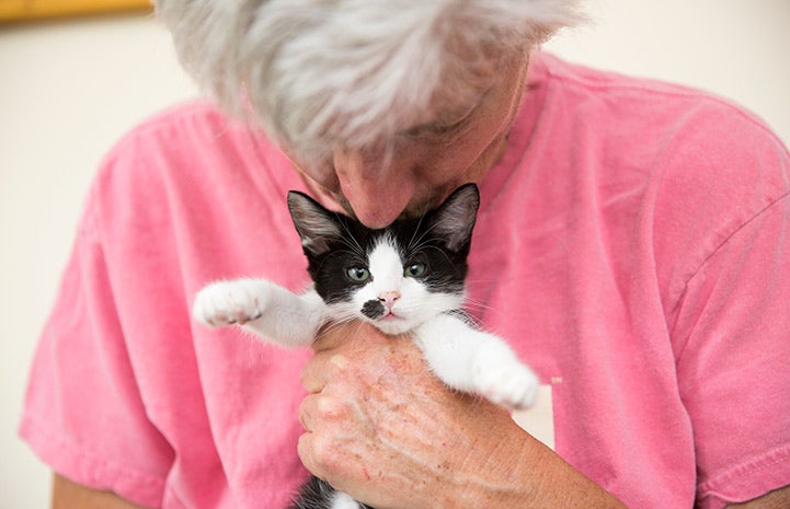 Person hugging a black and white kitten