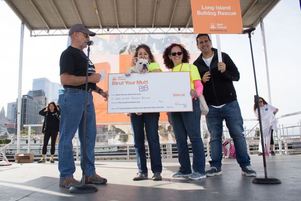 Strut Your Mutt check being presented to Long Island Bulldog Rescue