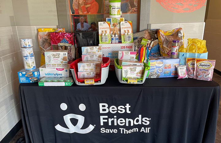 Table full of kitten supplies at Best Friends in Northwest Arkansas