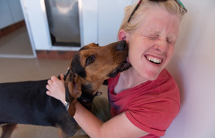 Larry the dog licking the face of a person who appears to be laughing