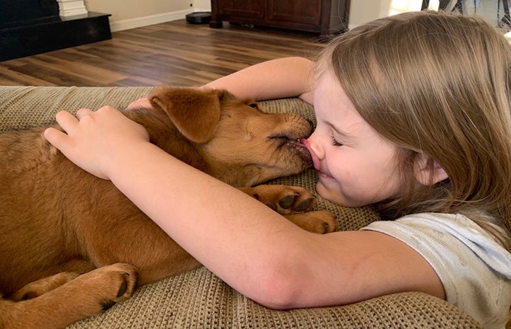 Child snuggling with a puppy who is kissing her nose