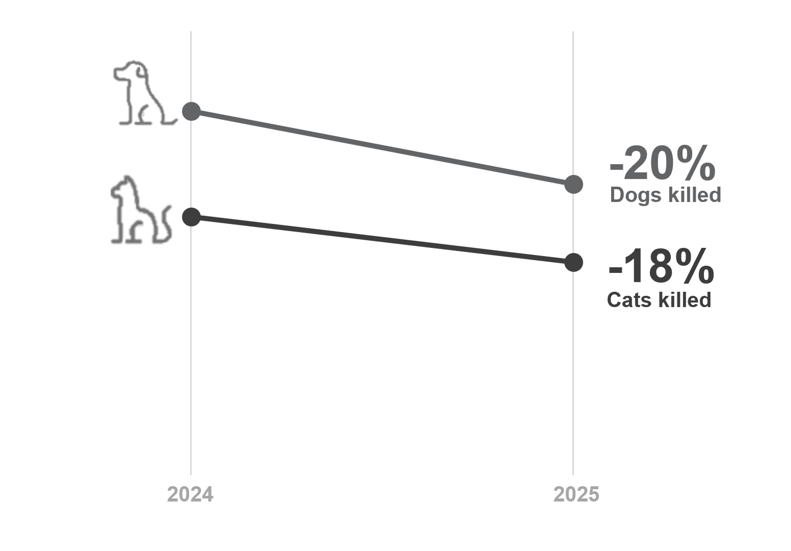 A graph showing a decrease in the number of dogs (-20%) and cats (-18%) killed from 2024 to 2025.