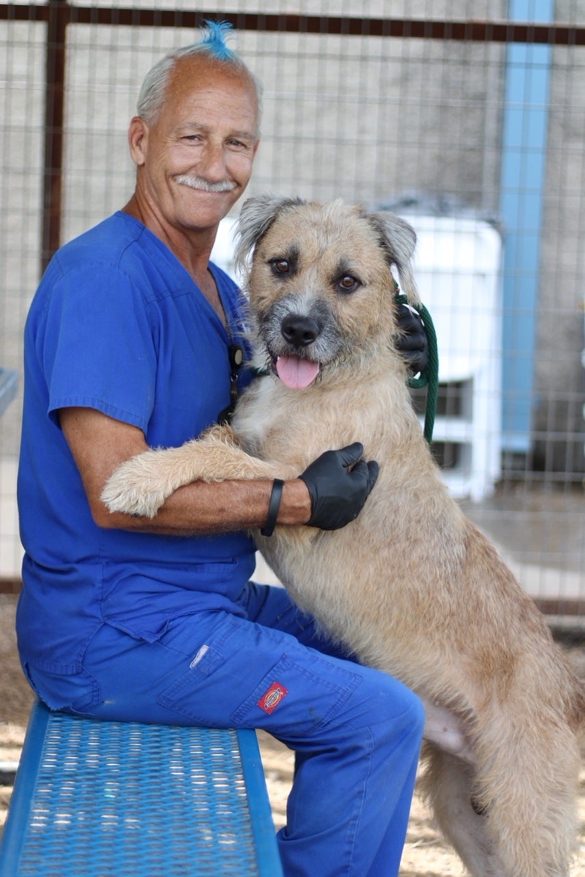 Staff at Fort Worth Animal Care & Control caring for dogs during distemper outbreak