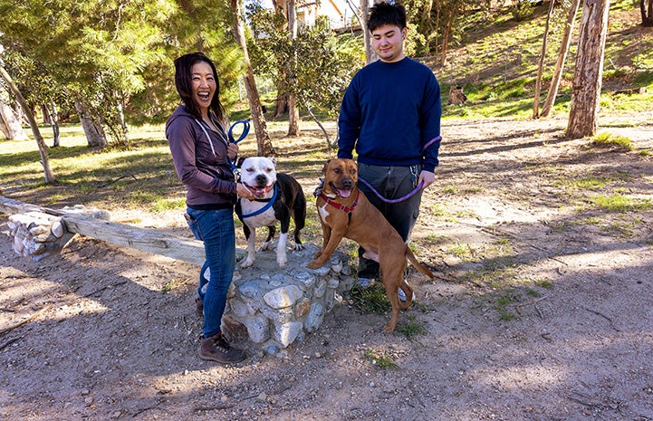 Orion and Zeke the dogs out on a walk with Nanami and another person