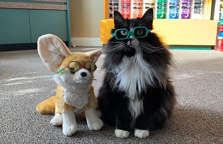 Truffles the cat wearing glasses and standing next to a stuffed animal, also wearing glasses