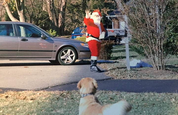 Postal carrier Scott Arnold dressed as Santa with a dog watching