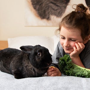Person sitting on a bed with a rabbit