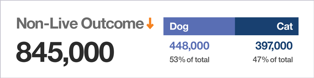 Non-Live Outcome graphic