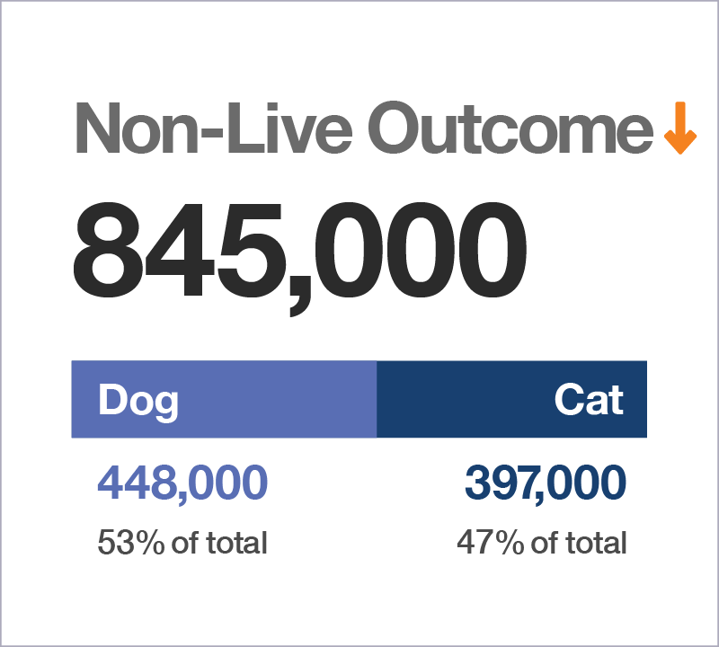 Non-Live Outcome graphic