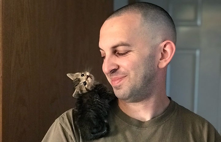 Baby Scout the kitten on a man's shoulder