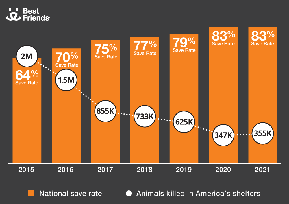 Chart of national save rate and number of animals killed in America's shelters