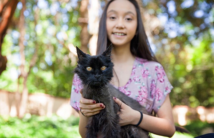 Person holding senior cat outside