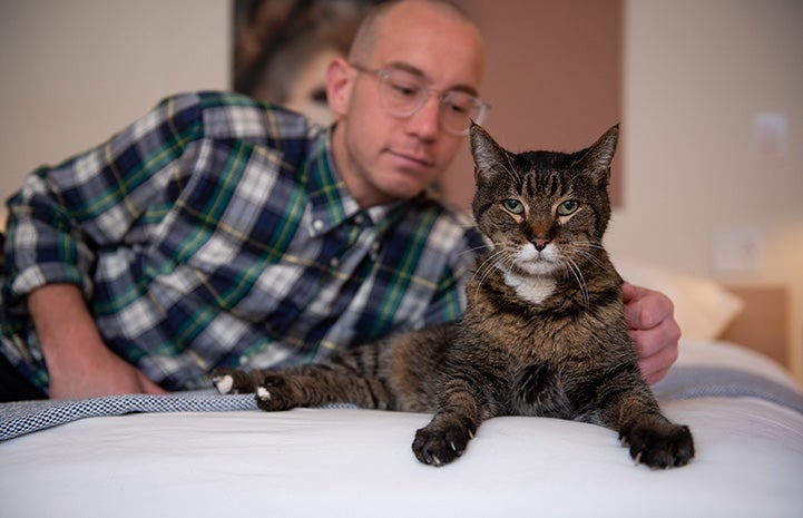 Man lying on a bed with a senior cat
