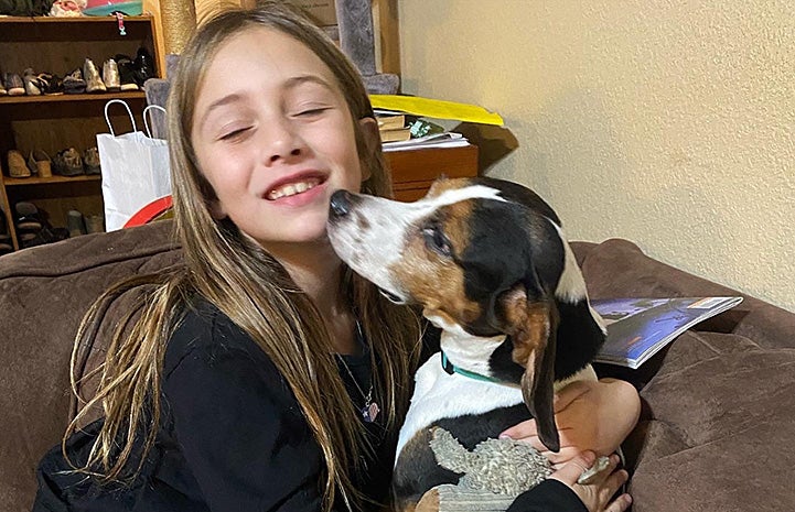 New homes for 21 beagles | Best Friends Animal Society