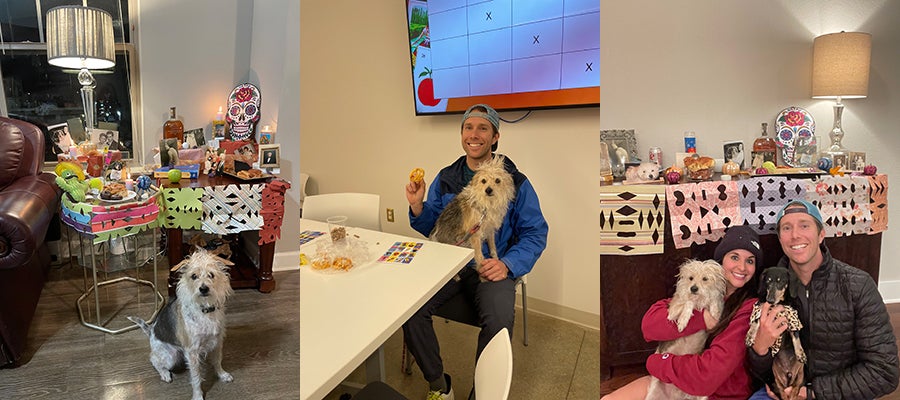 Collage of three photos of Einstein the dog