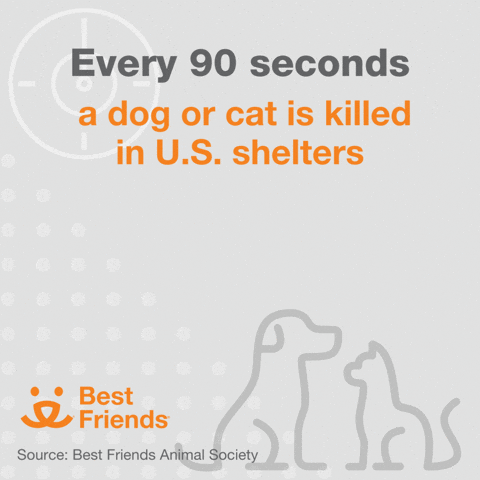 Best Friends Every 90 Seconds GIF