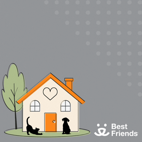 Best Friends Pets Don't Belong in Shelters GIF