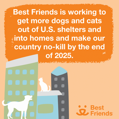 Best Friends is Working to make our country no-kill by the end of 2025 GIF