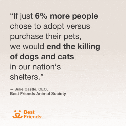 Best Friends 6% more people adopt dog gif