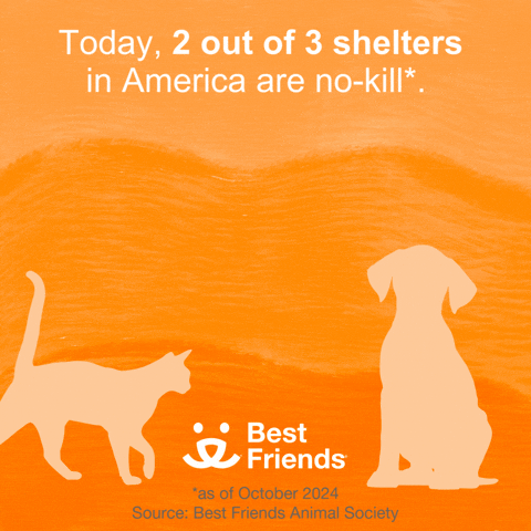 Best Friends 100% Goal GIF