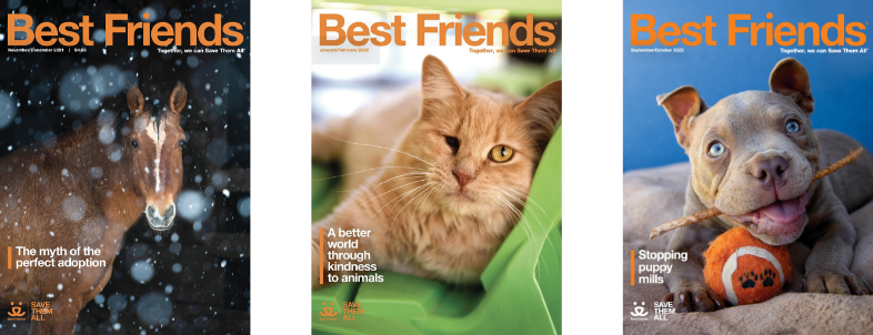 6 happy tails from adopted pets | Best Friends Animal Society - Save Them  All