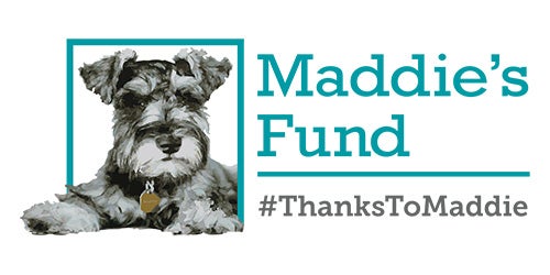 Thanks to Maddie logo