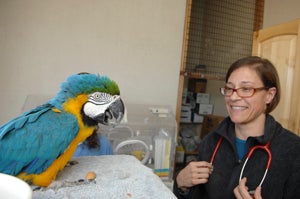 Avian veterinarian Dr. Margaret with a parrot at Best Friends clinc