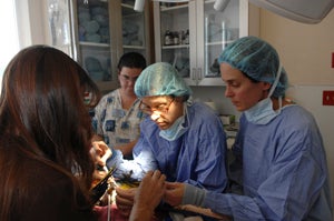 Avian veterinarian and technicians performing surgery on a parrot