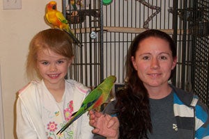 Sun conure and Sunday conure with their new family