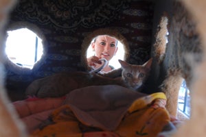 Volunteer playing with cats