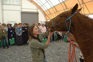 Veterinarian teaching a first-aid class with the help of a horse