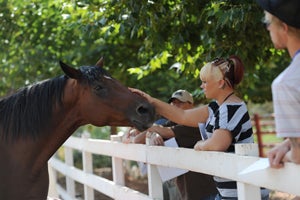 Volunteer interacting with a horse at Best Friends Animal Sanctuary
