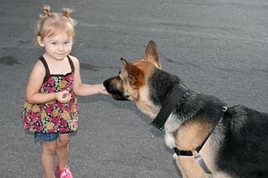  Zero the dog accepting treats from a young girl 