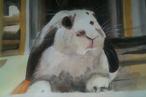 Rabbit portrait artist Courtney Link from Hong Kong painted