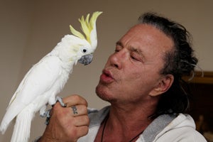Mickey Rourke interacting with the parrot he adopted