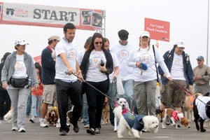 People with their dogs participating in a Best Friends' Strut Your Mutt event