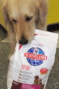 Dog carrying a bag of Science Diet dog food