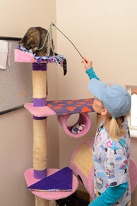 Volunteer Crystal Hall playing with a cat in a cat tree with a wand toy