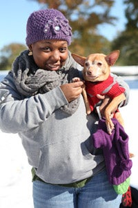 Chihuahua wearing a sweater with a woman