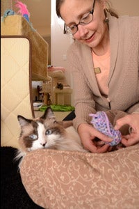 Caregiver putting on a legging on Montana the special-needs cat's foot to stop him from chewing on it