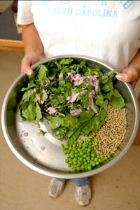 Leafy greens, peas, and other healthy foods for a pig