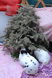 Rabbits chewing on branches of a Christmas tree