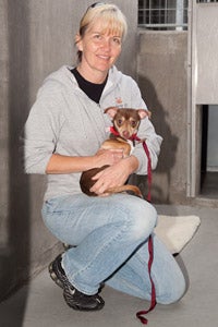 Volunteer Kym Cloughesy with Kibbles the Chihuahua