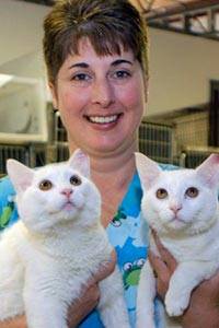 Vet tech holding white cats who were spayed as part of the trap-neuter-return program in Jacksonville, Florida