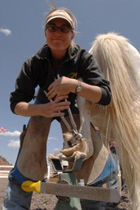 Farrier trimming a horse's hooves