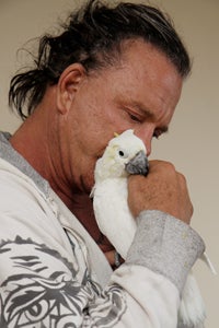 Mickey Rourke snuggling his adopted lesser sulfur-crested cockatoo